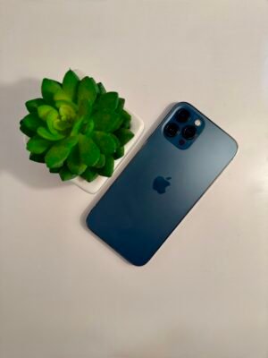 iPhone 12 Pro Max 128GB Azul